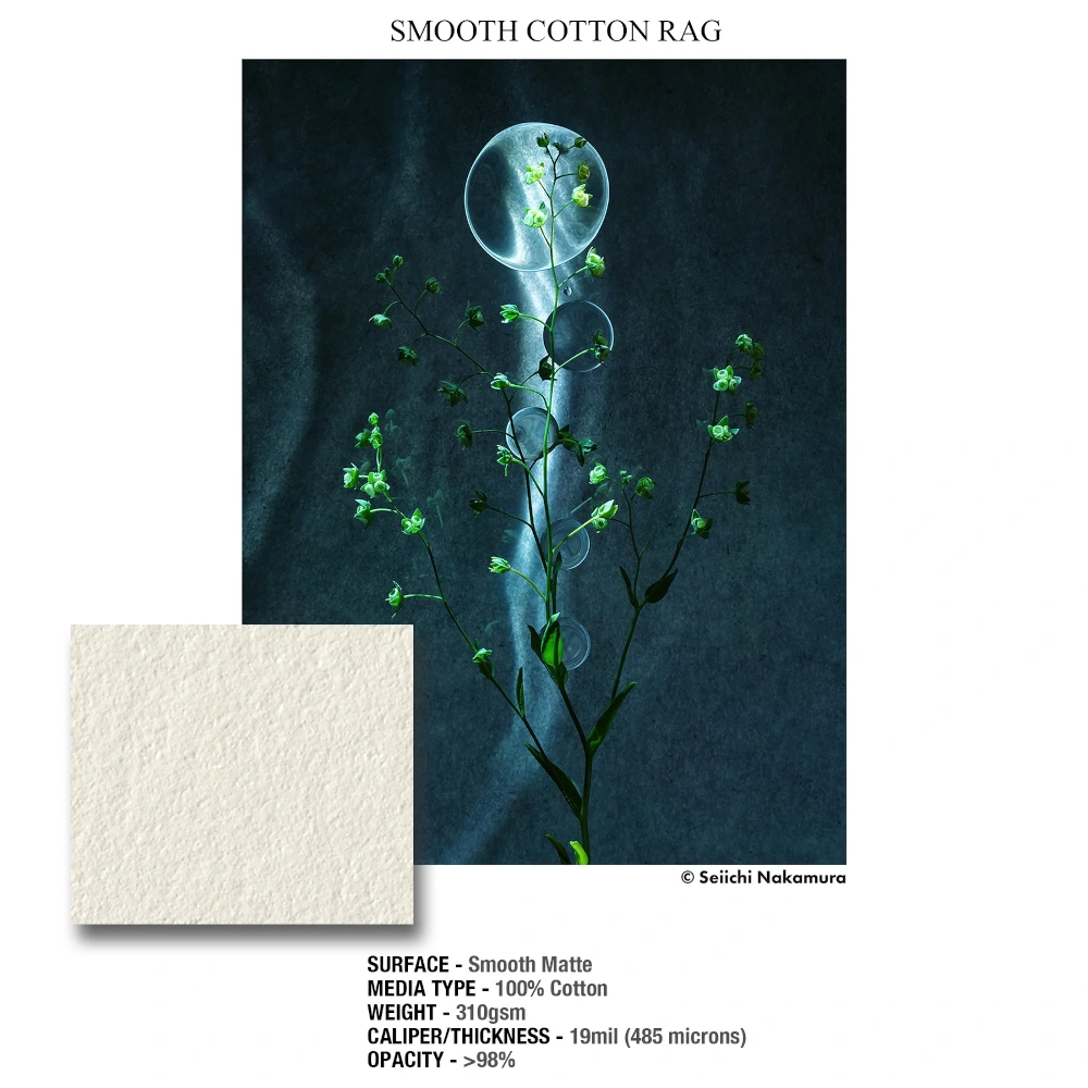 Ilford Galerie Smooth Cotton Rag, gładki matowy papier bawełniany Fine Art 310 g/m²